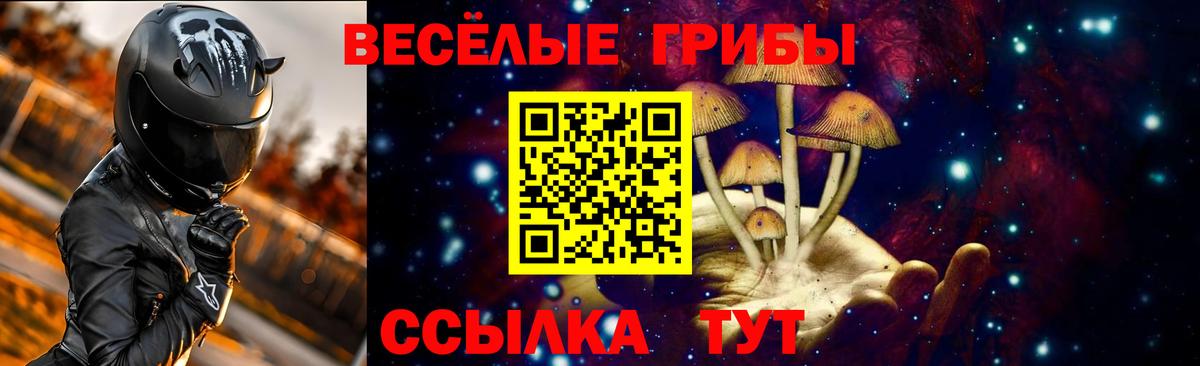 Малоярославец  Галлюциногенные грибы Psilocybe  Вход с VPN  Галлюциногенные грибы Psilocybe 
