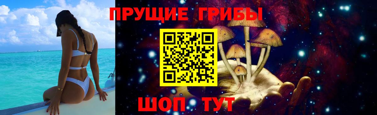 Галлюциногенные грибы Psilocybe Малоярославец